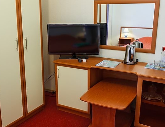 1-Местный Стандарт (Каштан) - Санаторий «Руно» Пятигорск