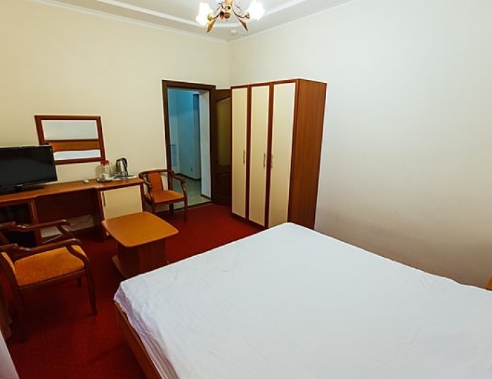 1-Местный Стандарт (Каштан) - Санаторий «Руно» Пятигорск