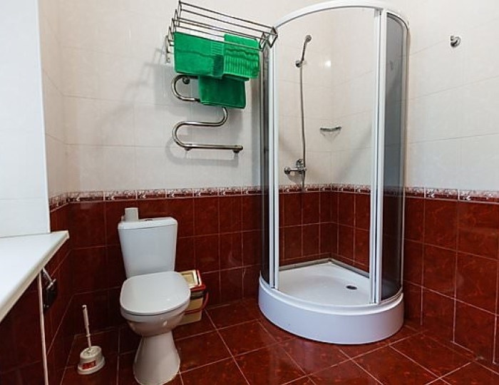 1-Местный Стандарт (Каштан) - Санаторий «Руно» Пятигорск