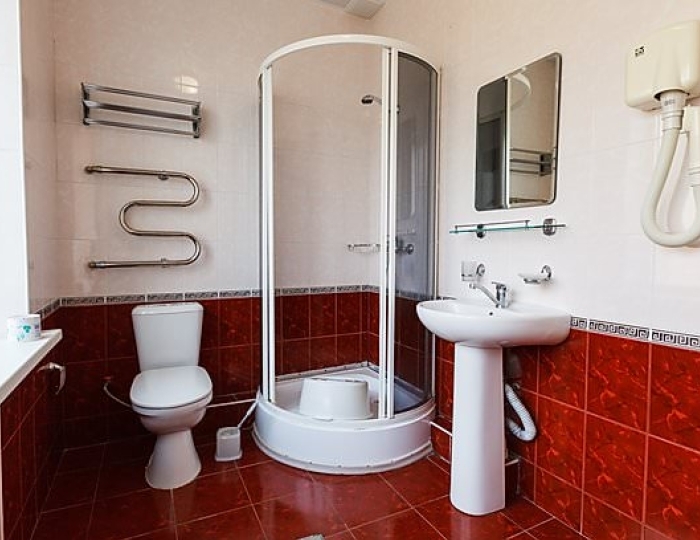 2-Местный Стандарт (Каштан) - Санаторий «Руно» Пятигорск